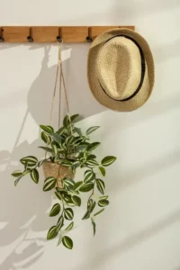 macrame-plant-hanger