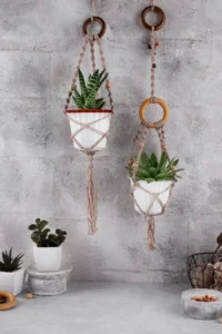 plant hanger