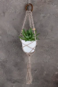 macrame plant 